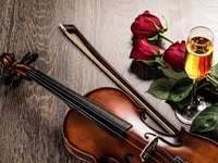 Выходные с музыкой: как побывать на Венском балу в Киеве