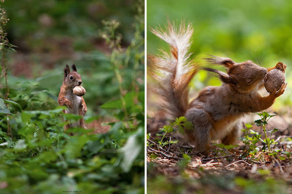 instagram.com/sergey_polyushko/