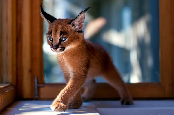 instagram.com/sergey_polyushko/