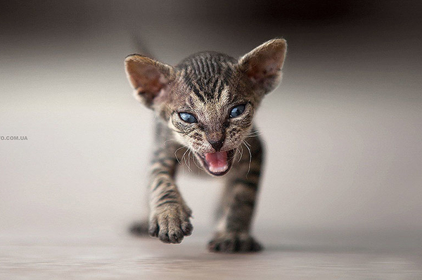 instagram.com/sergey_polyushko/