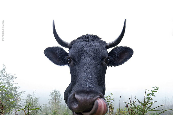 instagram.com/sergey_polyushko/