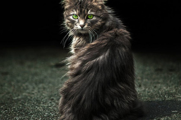 instagram.com/sergey_polyushko/