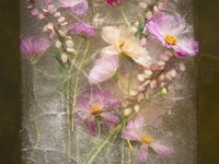 Цветы и вода: как при помощи простых вещей создать шедевр