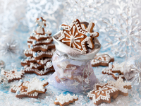 Имбирное печенье на Новый год: ТОП-5 рецептов