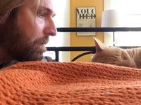 Реванш: как мужчина отомстил коту, который будит его рано утром