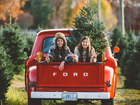 Отмечай с Ivona: экспресс-подготовка к Новому году