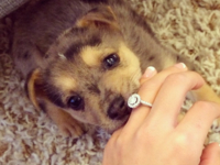 Когда нет сил молчать: лучшие способы рассказать о помолвке