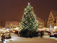 Новогодние мероприятия в Киеве: куда пойти с ребенком