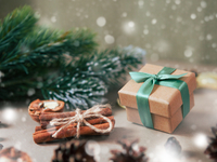 Новогоднее волшебство: детская сказка от Ivona (заключительная часть)