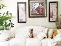 Семь вещей, которые должны быть в доме у стильной женщины