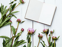 Лучшее за неделю: ТОП-7 статей, которые ты могла пропустить