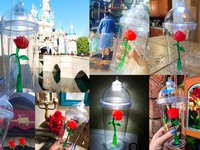 Красавица и Чудовище: появилась чашка в виде Зачарованной розы