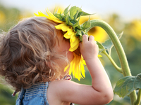 Какие ошибки родителей мешают воспитать лидера