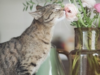 Лучшее за неделю: ТОП-7 статей, которые ты могла пропустить