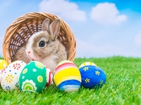 Пасхальные яйца: лучшие идеи декора с фото