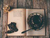 Как научиться читать по книге в месяц