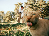 Осторожно, коты в кадре: как питомцы могут испортить фото