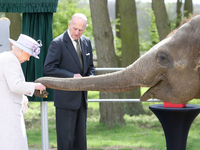 В Сеть попало трогательное видео с Елизаветой II, кормящей слона