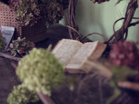 Пулитцеровская премия 2017: книги, которые признали лучшими