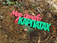 Как отдать дань природе за ее блага: посади свое дерево в Карпатах