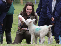 Кейт Миддлтон накормила овец и загнала свиней на детской ферме