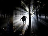 Как избавиться от фобий: советы психолога