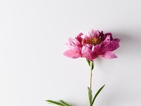 Лучшее за неделю: ТОП-7 статей, которые ты могла пропустить