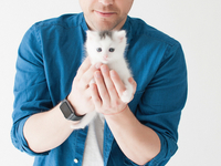 Украинские звезды снялись в благотворительном фотопроекте с котами