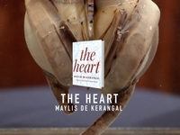 Что почитать: список книг от Билла Гейтса