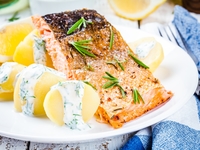 Лосось со сметанно-огурeчным соусом