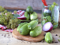 Быстрый рецепт малосольных огурцов