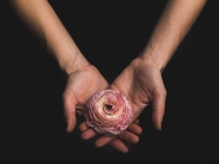 Уход за руками: важные советы