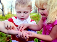 Как защитить ребенка от укусов насекомых - Комаровский