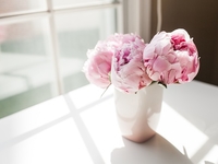 5 видов цветов, которым не место в твоей спальне