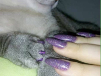 Когти и ногти: новый тренд покорил пользовательниц Twitter