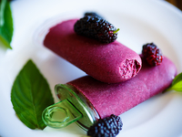 Йогуртовое мороженое с шелковицей