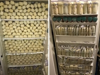 Чудо-мама сцеживает до семи литров молока в день, чтобы помочь другим детям