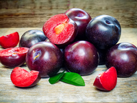 Слива: польза и вред для здоровья
