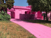 Дома в цвете millennial pink захватили Instagram