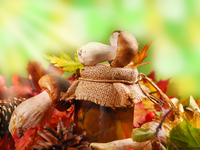 Маринованные белые грибы на зиму