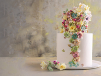 Сладкое искусство: торты от настоящей балерины