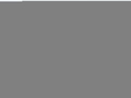 Хэллоуин близко: ТОП-3 самых страшных лесов мира