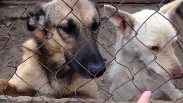 Осенний Киев: куда пойти влюбленным в столице