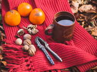 Чай из хурмы: рецепт против простуды от Амадора Лопеса