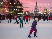 На ВДНХ откроют большой постоянно действующий каток