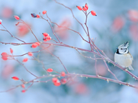 Где провести выходные в Киеве: 5 интересных мероприятий