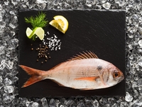 «Ревизор: Магазины» советует: как выбрать свежую рыбу