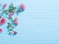 Выходные в Киеве: самые яркие мероприятия