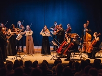 Куда пойти на выходных: 3 волшебных концерта от Svitlo Concert