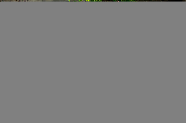 пресс-служба